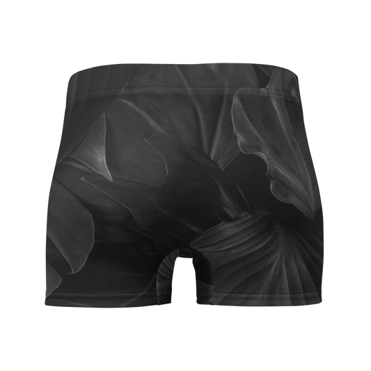 Boxer Briefs